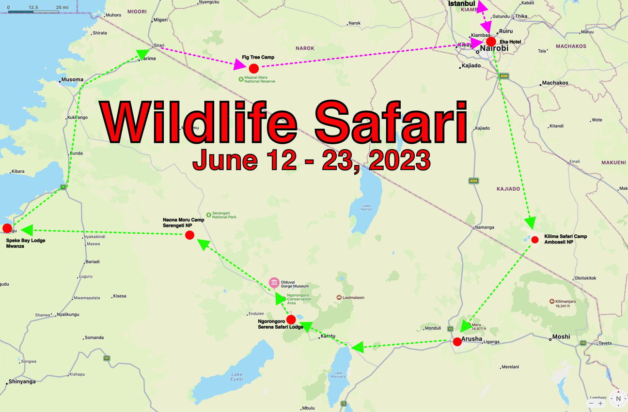 2023 Wildlife Safari Map