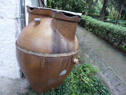 P1010919