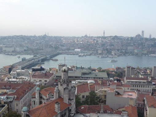 P1010653