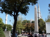 P1010782