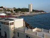 P1010861